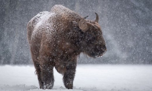 Διάβασε ΔΩΡΕΑΝ την προσωπική σου πρόβλεψη, για σήμερα 04/01/2024