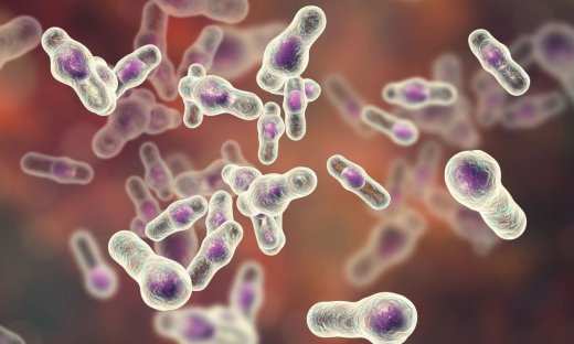 Νόσος του GAS: Τι είναι και τι προκαλεί σε παιδιά & ενήλικες