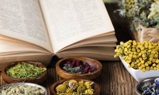 CRETAN IAMA: Νέες μελέτες για τον φυσικό σου «σύμμαχο» την εποχή των ιώσεων και της Covid-19