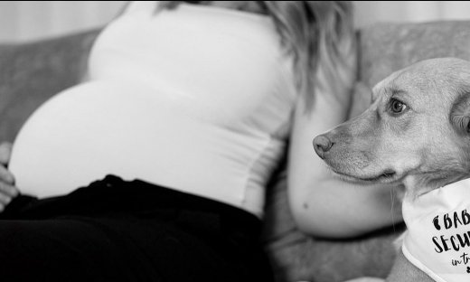 Έρχεται ο πελαργός για πρώτη φορά - Η ανακοίνωση της εγκυμοσύνης της & τα καρέ με τον σύζυγό της