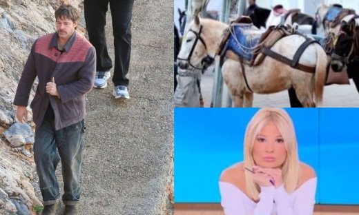 Σκορδά για τα γαϊδουράκια στην ταινία του Μπραντ Πιτ, μετά τις αντιδράσεις: «Δεν είναι εικόνα 2026»