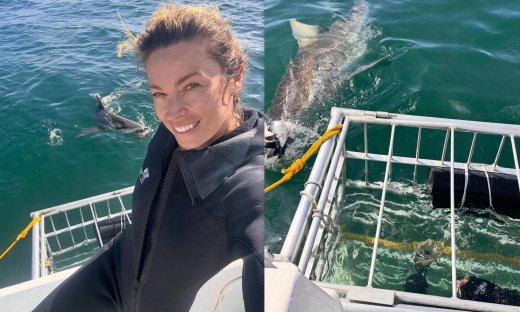 Μαριέττα Χρουσαλά: Κολύμπησε με λευκούς καρχαρίες - Εικόνες που κόβουν την ανάσα