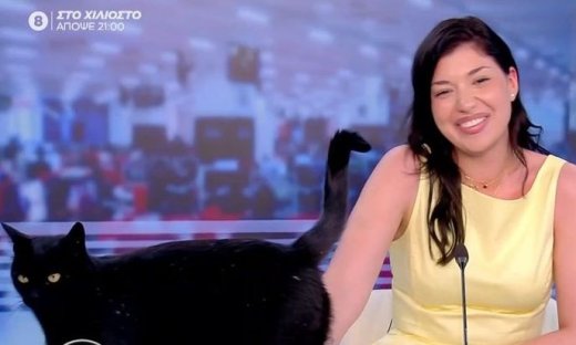 Η μαύρη γάτα του ΣΚΑΙ «ξαναχτύπησε» κατά τη live μετάδοση