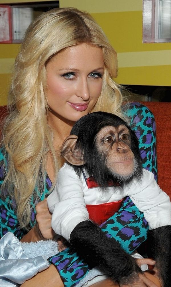 Στα εγκαίνια θεματικού πάρκου η Paris Hilton