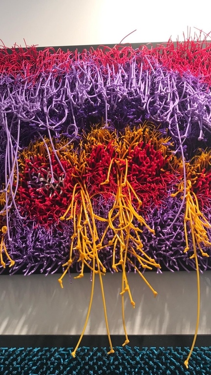 Δείτε πού πήγε το απόγευμα της Κυριακής η Πόπη Τσαπανίδου