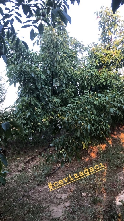 Ο Burak Hakki μας δείχνει το κτήμα του