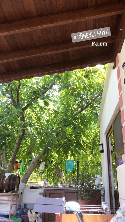 Ο Burak Hakki μας δείχνει το κτήμα του