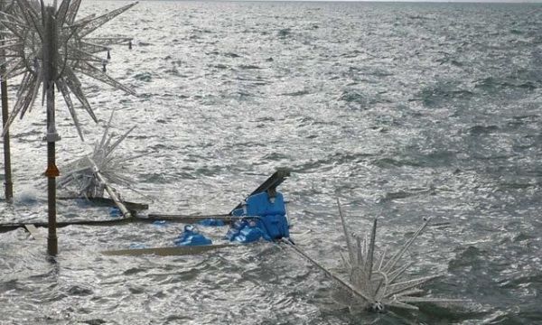 Βυθίστηκε το πλωτό δέντρο της Αριστοτέλους (φωτό)