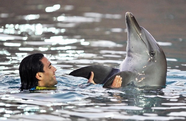 Ο Φαλκάο και το… δελφίνι