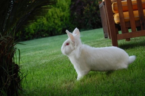 Ζήνα-Λύρας: Το τρίτο... πρόσωπο στη σχέση τους!