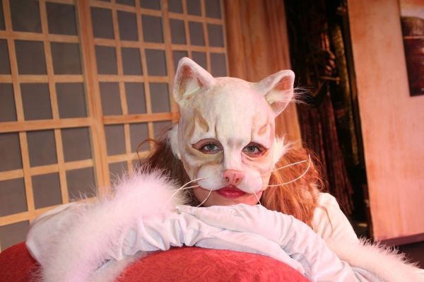 Όταν ένα παιδικό παραμύθι παίρνει σάρκα και.. γατιά!