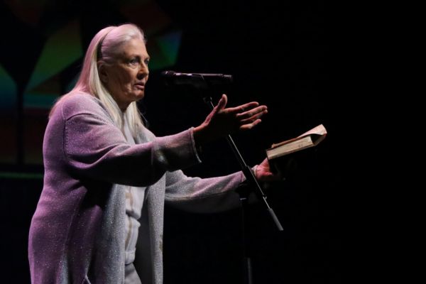 Η απονομή των Βραβείων της Ελληνικής Ακαδημίας Κινηματογράφου με μεγάλο νικητή…