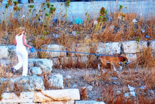 Σία Κοσιώνη: Πρωινός σκυλοκαβγάς