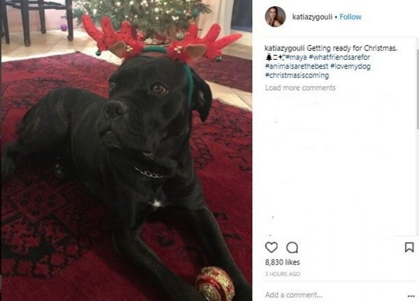 Κάτια Ζυγούλη: Δείτε το στολισμένο σαλόνι του σπιτιού της