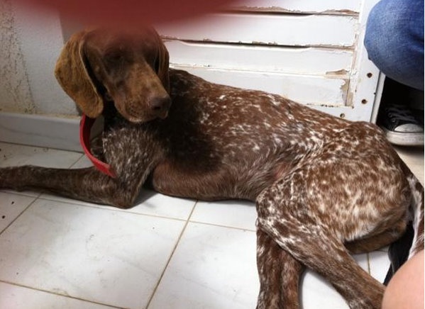 Η έκκληση της Τάμτα