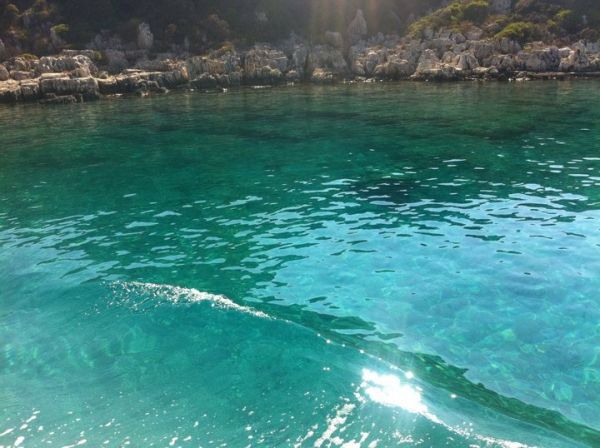 Ο αδελφός της Μενεγάκη και τα… ούζα!