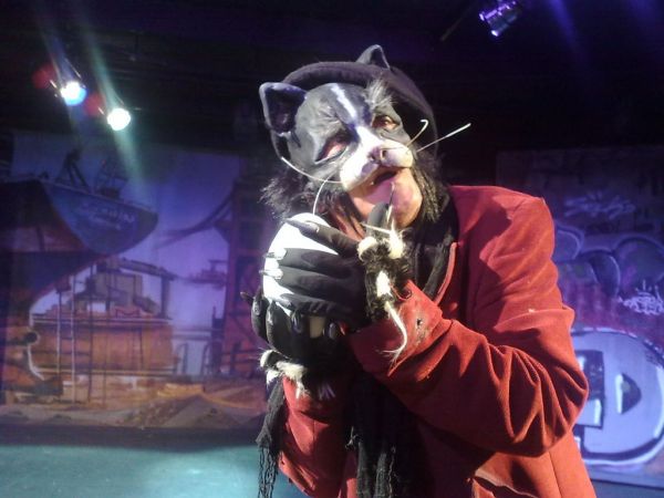 Όταν ένα παιδικό παραμύθι παίρνει σάρκα και.. γατιά!