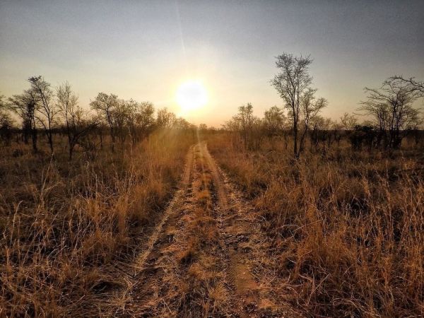 Η Χριστίνα Μουστάκα στη Νότια Αφρική