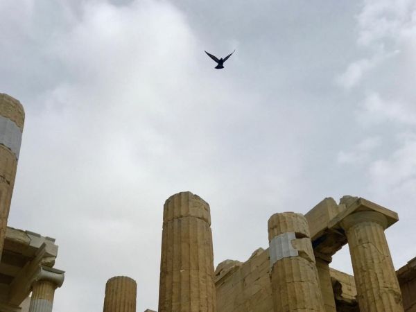  Γρηγόρης Αρναούτογλου: Έκανε πράξη την επιθυμία της μητέρας του