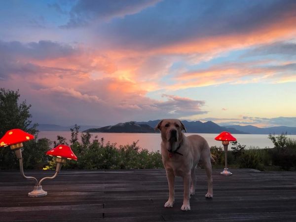 Καρύδη – Αθερίδης: Αυτό είναι το εντυπωσιακό τους σπίτι στην Αίγινα