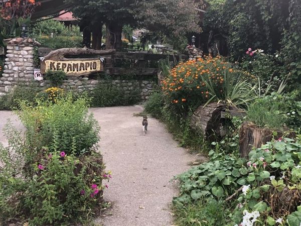 Δημήτρης Οικονόμου: Οι διακοπές με την οικογένειά του στην Καρδίτσα 