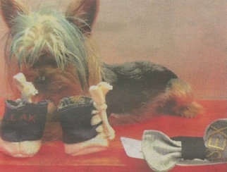 Λάκης Γαβαλάς: Επίδειξη μόδας για σκύλους σε κτηνιατρείο 