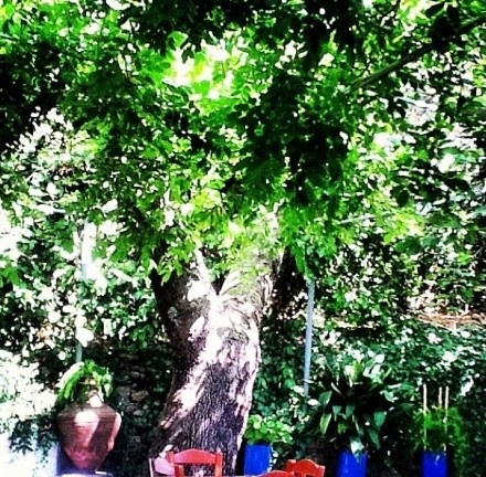 Ελένη Μενεγάκη: Δείτε τις φωτογραφίες που ανεβάζει, κάνοντας διακοπές