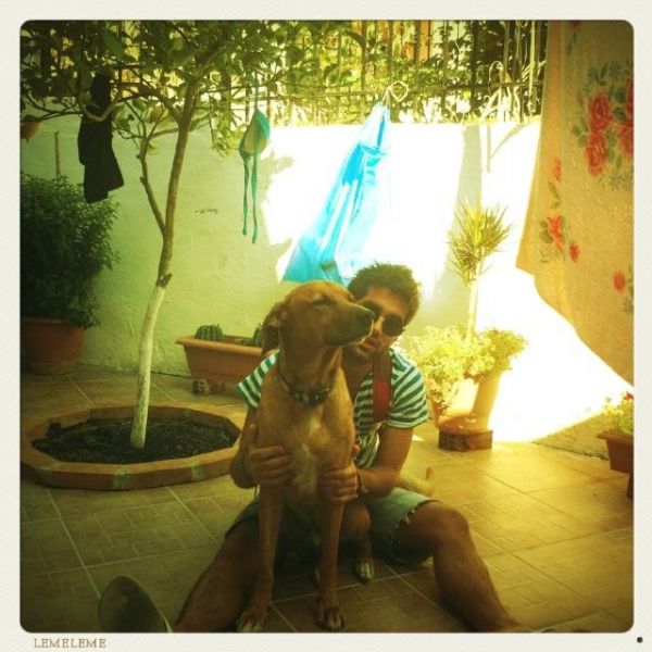 Σε ποιον τραγουδιστή ανήκει αυτός ο πανέμορφος σκύλος; 