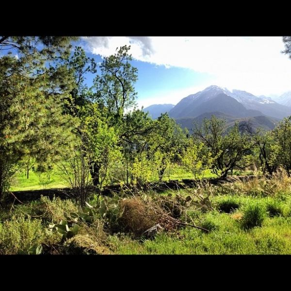 Ναθαναήλ-Παπαδάκου: Οι κουμπάρες γιόρτασαν μαζί το Πάσχα