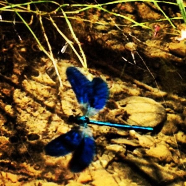 Σίσσυ Χρηστίδου: Οικογενειακές διακοπές στον… παράδεισο! 