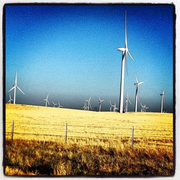 Αννίτα Ναθαναήλ: Το οικογενειακό ταξίδι στην Αμερική και η «ξενάγηση» μέσω twitter