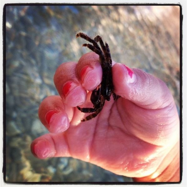 Γνωστή ηθοποιός κάνει βουτιές και βγάζει αχινούς! (φωτό)