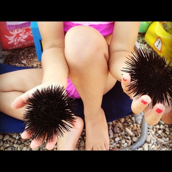 Γνωστή ηθοποιός κάνει βουτιές και βγάζει αχινούς! (φωτό)