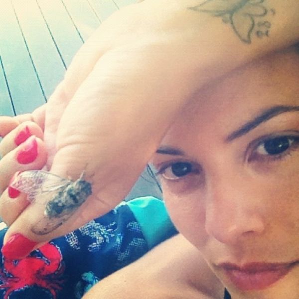 Γνωστή Ελληνίδα ηθοποιός ποζάρει με έναν… τζίτζικα!