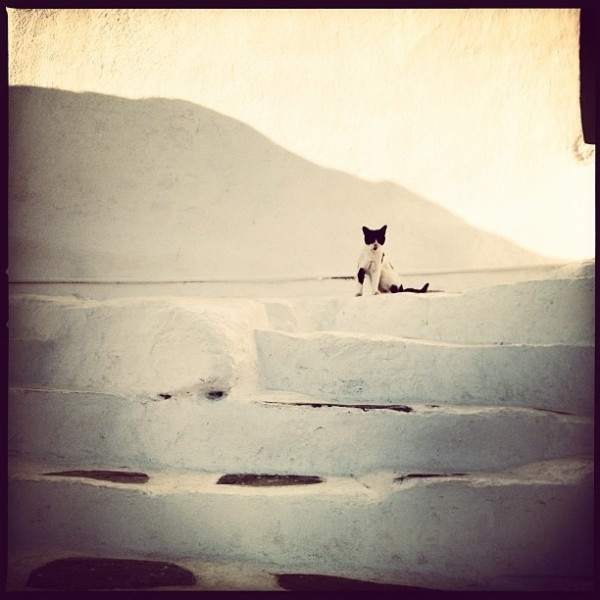 Νίκος Αλιάγας: Το φωτογραφικό album των διακοπών του στην Ελλάδα 