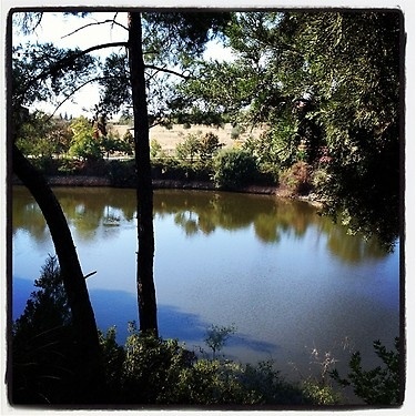 Ποια παρουσιάστρια ανέβασε αυτή τη φωτογραφία στο twitter της; 