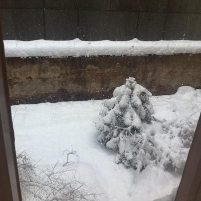 Η Τζούλια ντύθηκε και βγήκε στα χιόνια!