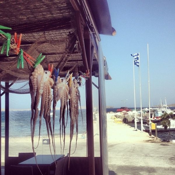  Οι διακοπές της Δωροθέας Μερκούρη στην Μυτιλήνη!