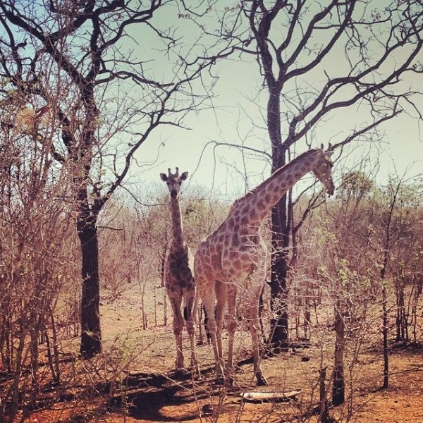 Υβόννη Μπόσνιακ: Το ταξίδι της στην Αφρική!