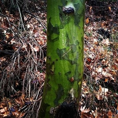 Φωτογραφίες από το ταξίδι της Ζέτας Δούκα στο Καϊμακτσαλάν