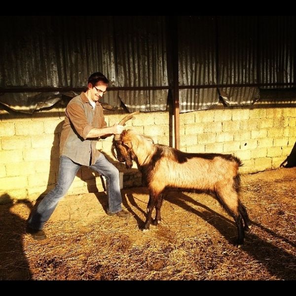 Έλληνας ηθοποιός δέχτηκε επίθεση από… τράγο!