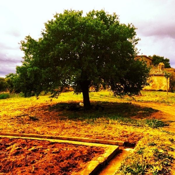 Τζένη Μπαλατσινού-Πέτρος Κωστόπουλος: Φωτογραφίες από τις διακοπές του Πάσχα στη Μεσσηνία
