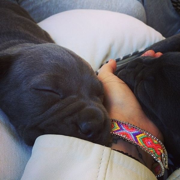 Η Γερμανού ζήλεψε την Σπυροπούλου και ιδού και η απόδειξη! (φωτό)