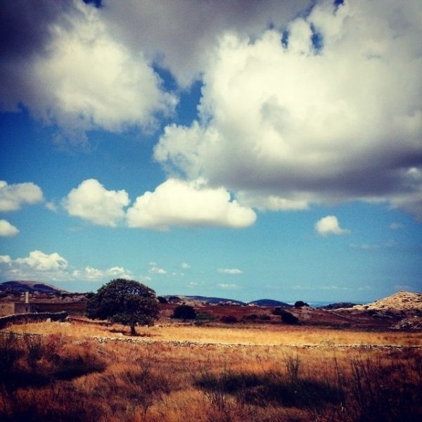 Στιγμές χαλάρωσης για την...