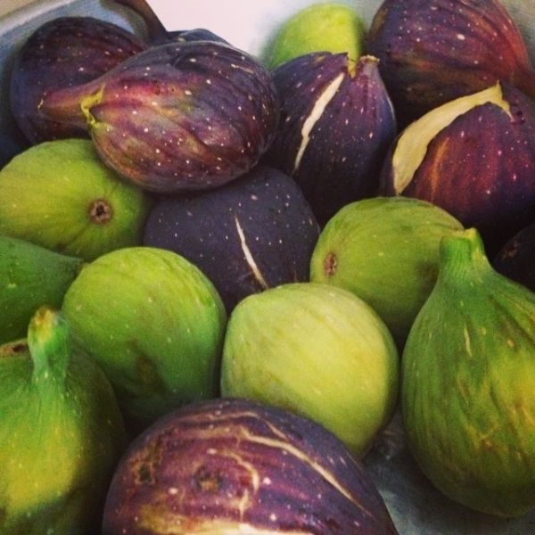 Η Δέσποινα Βανδή, η Αλεξανδρούπολη και τα... σύκα!