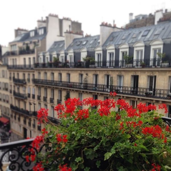 Οικονομάκου-Μιχόπουλος: Ρομαντική απόδραση στο Παρίσι