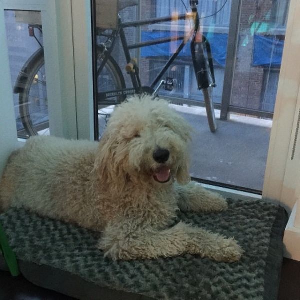  Ρούλα Κορομηλά: Μας συστήνει το «άτακτο αγόρι» της