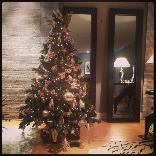 Oι Έλληνες celebrities στόλισαν το χριστουγεννιάτικο δέντρο τους! (φωτό)