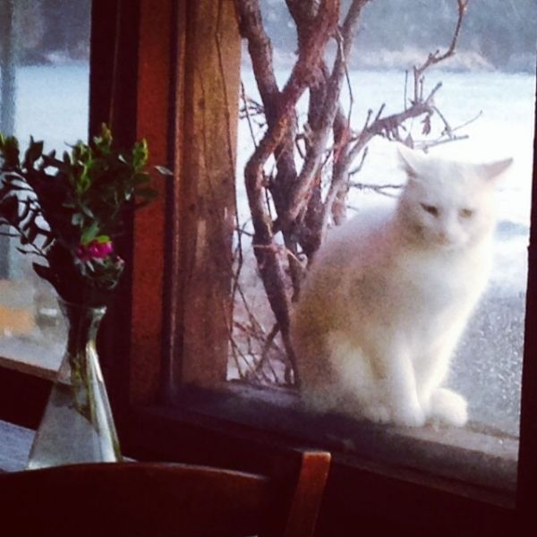 Μαρία Μπακοδήμου: Πρωτοχρονιά στο Πήλιο! (φωτό)