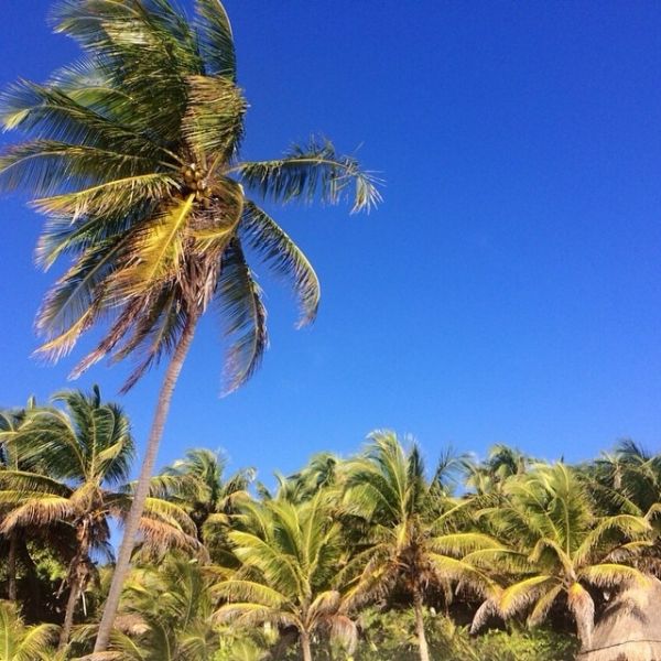 Ντένια Αγαλιανού-Ιωάννα Παπαγιάννη: Από το «Next top model» στο Μεξικό! 